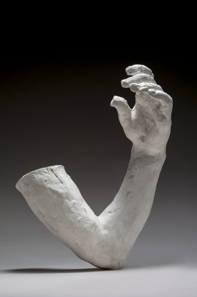 Vasen käsivarsi, tutkielma Meditaatiota varten (n.1894) Musée Rodin. Kuva: Christian Baraja